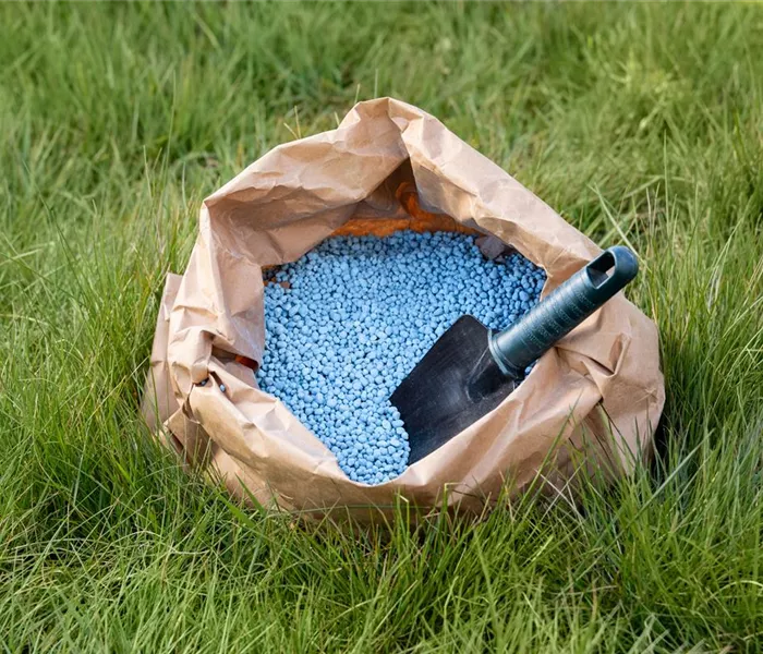 Düngen im Herbst - Kraftvoll in die kalte Jahreszeit