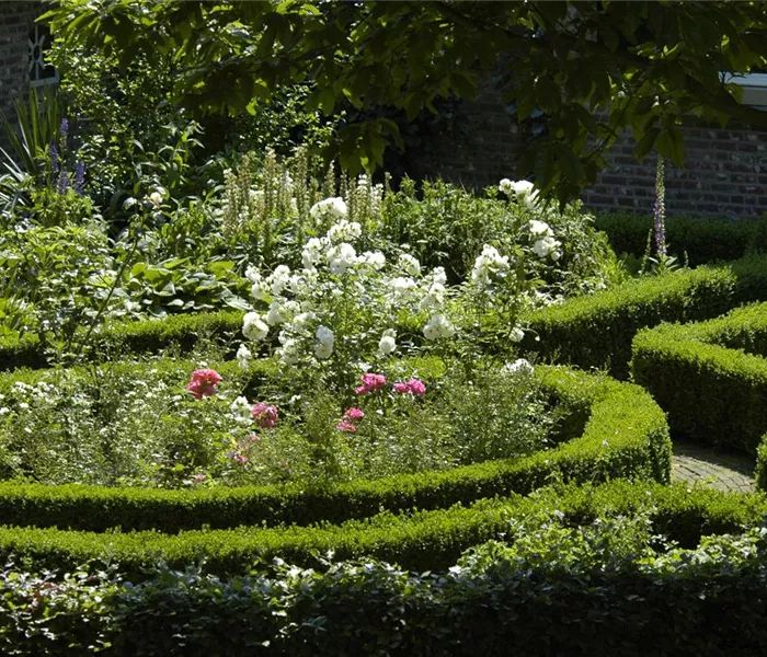 Einen Bauerngarten anlegen – Mehr als nur ein spießiger Nutzgarten