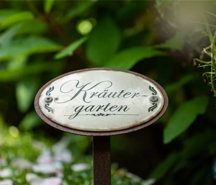 Ernte ohne Garten - Im duftenden Kräutergarten auf dem Balkon