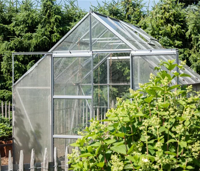 Ob gro&#223; oder klein: Gew&#228;chsh&#228;user bereichern jeden Garten