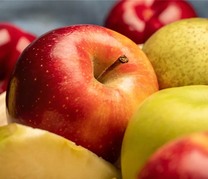 Kern- und Steinobst im eigenen Garten für kleine und große Naschkatzen Kern- und Steinobst im eigenen Garten für kleine und große Naschkatzen