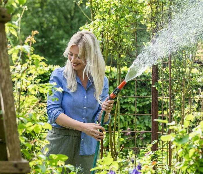 Pflanzenpflege im Sommer für durstige Gartenbewohner