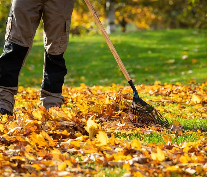 Gartenarbeit im Herbst – Das ist jetzt wichtig