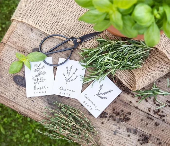 Ein Aussaatkalender sorgt für Übersicht bei der Gartenplanung