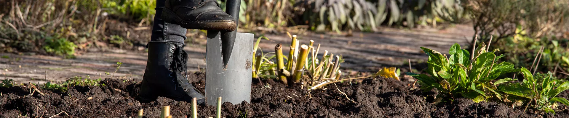 Gartenarbeit Gartenarbeit