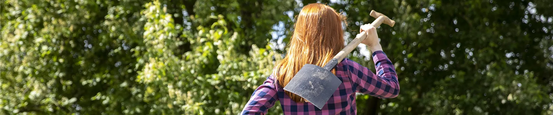 Frau bei der Gartenarbeit Frau bei der Gartenarbeit