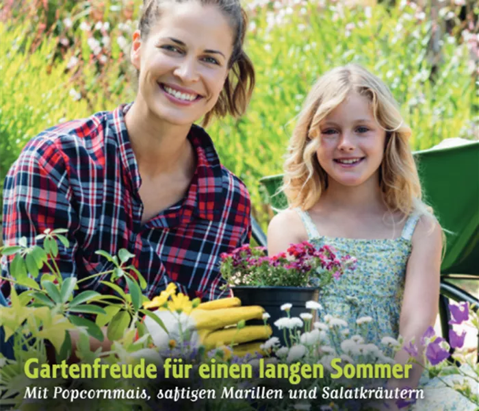 Beetgeflüster Sommer 2023 Beetgeflüster Sommer 2023