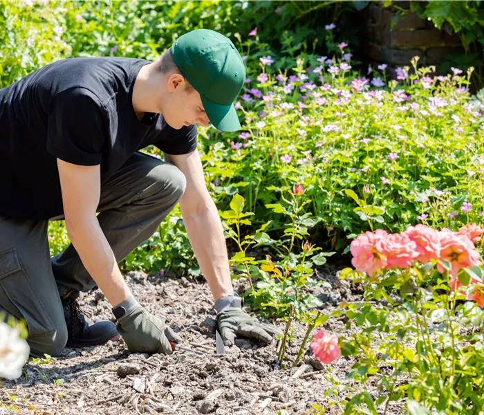 Gartenpflege Gartenpflege