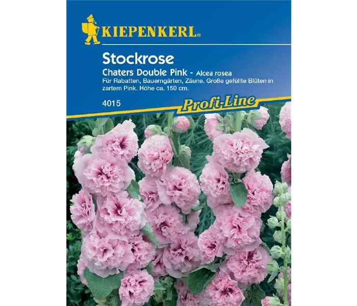 Alcea 'Chaters Pink' Alcea 'Chaters Pink'