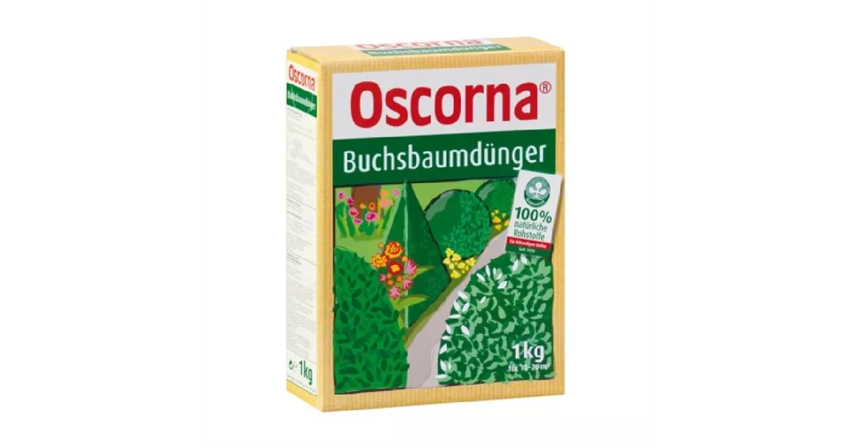 Buchsbaumdnger