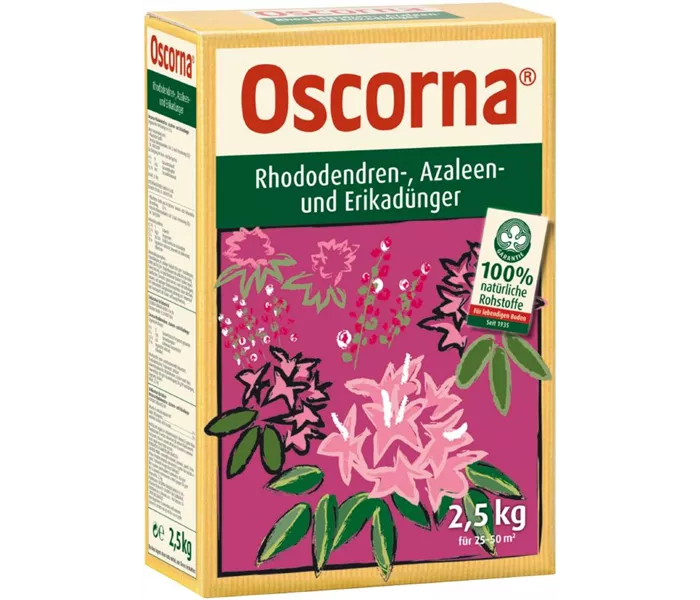 Rhododendron,- Azaleen,- Rhododendron,- Azaleen,-