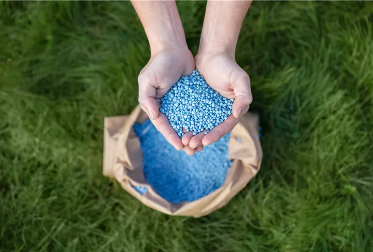 Dünger - Blaukorn