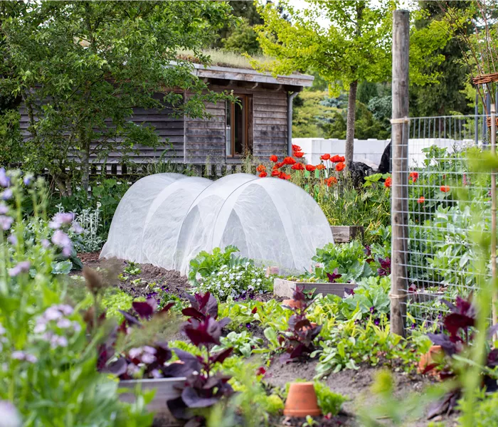 Ein Selbstversorgergarten sorgt für Freiheit