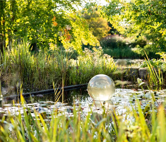 Ein Gartenteich als kleines Stück Natur im eigenen Garten