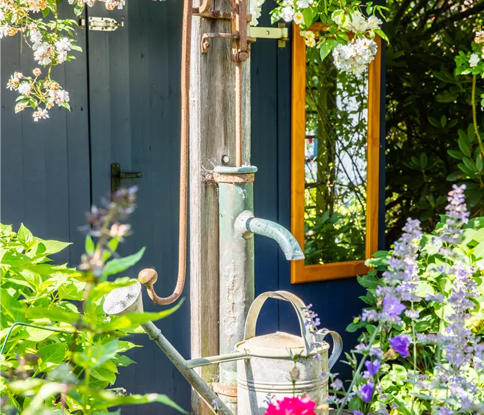 So einfach kann die Gartengestaltung mit Gartenpflanzen sein