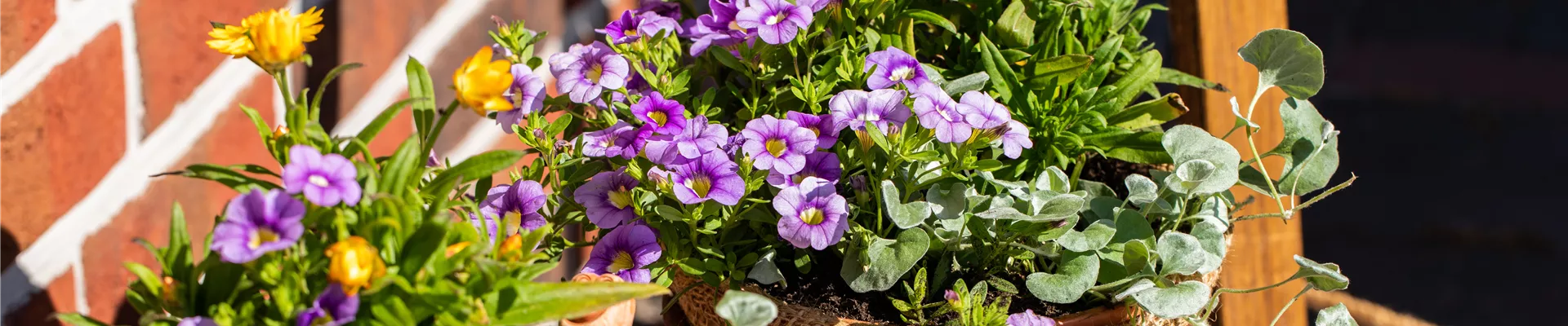 Gartendekoration 