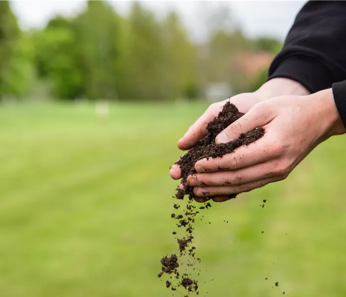 Der Gartenboden: Bodenarten und was sie bedeuten