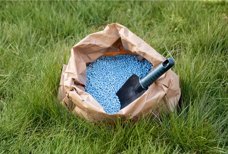 Dünger - Blaukorn