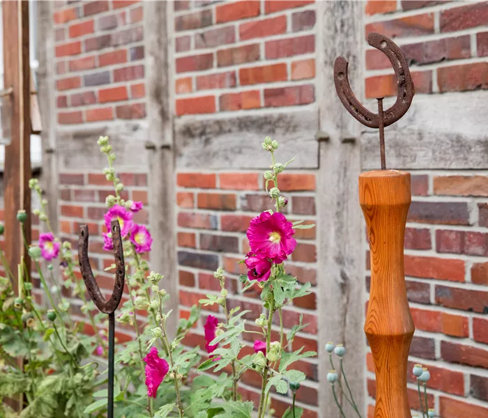 Upcycling im Garten – Nachhaltig kreativ