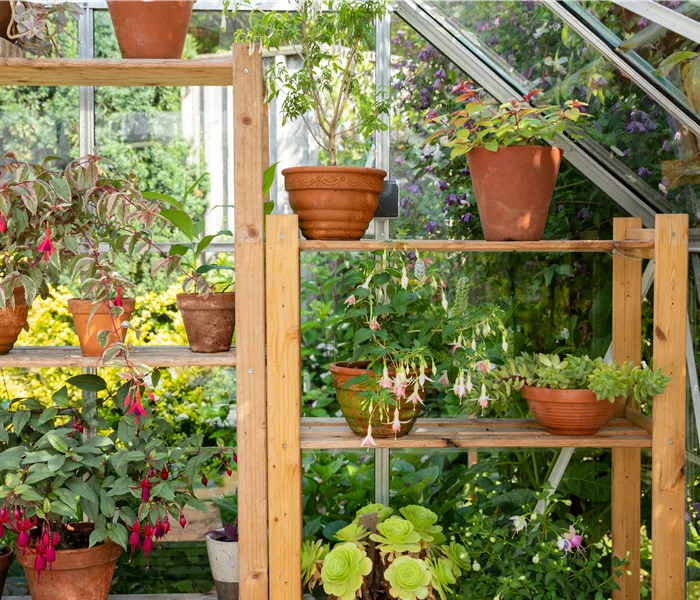 Balkongewächshaus - Gärtnern auf kleinstem Raum