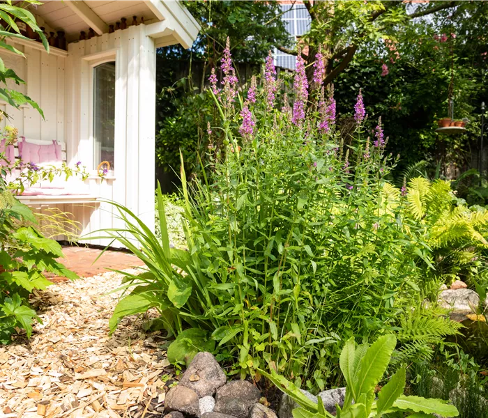 Permakultur im Garten – Nachhaltig und naturnah