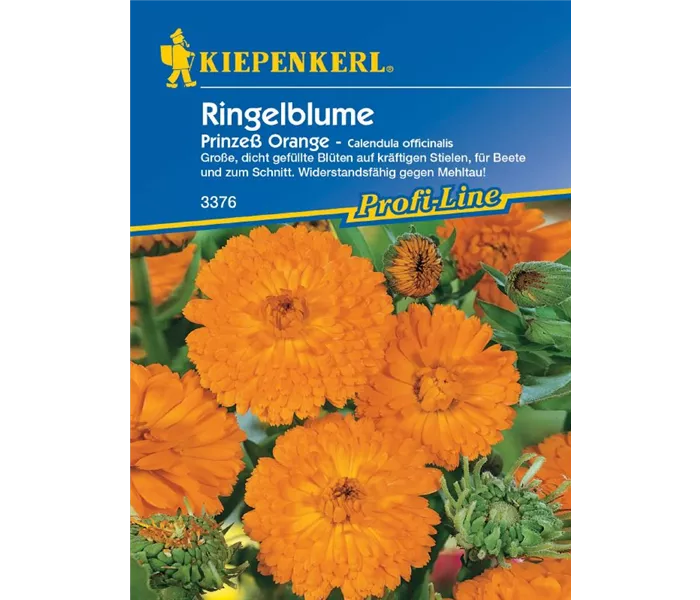 Calendula Prinzeß Orange Calendula Prinzeß Orange