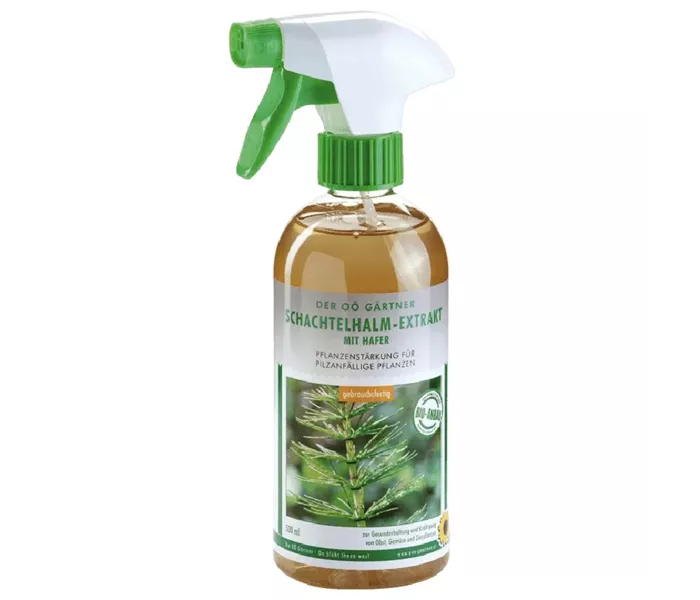 Schachtelhalmextrakt