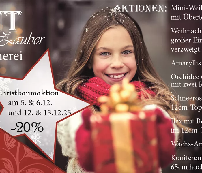 Bald ist Adventausstellung!