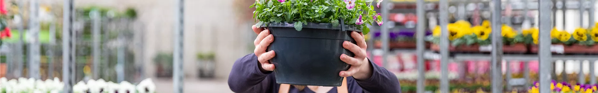 Einkauf im Pflanzengroßmarkt - Frau mit Pflanzampel
