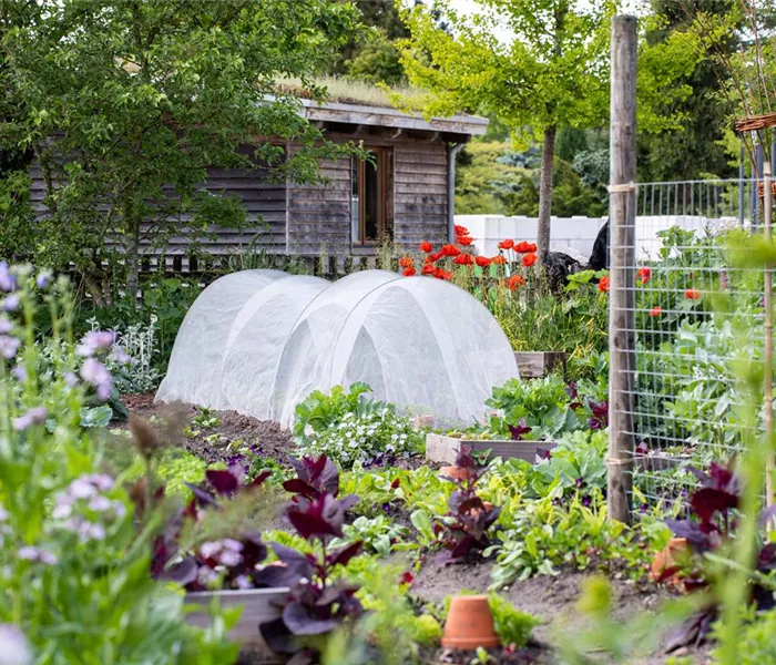 Ein Selbstversorgergarten sorgt für Freiheit